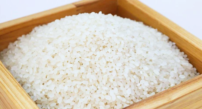 쌀 효능 및 부작용 칼로리 간단하게 알아보기