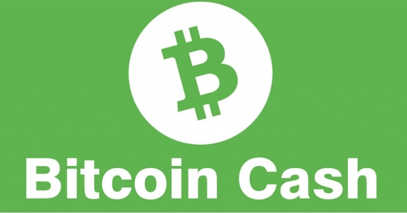 [메이저코인] 블록의 사이즈가 유동적 - 비트코인캐쉬(Bitcoin Cash, BCH)