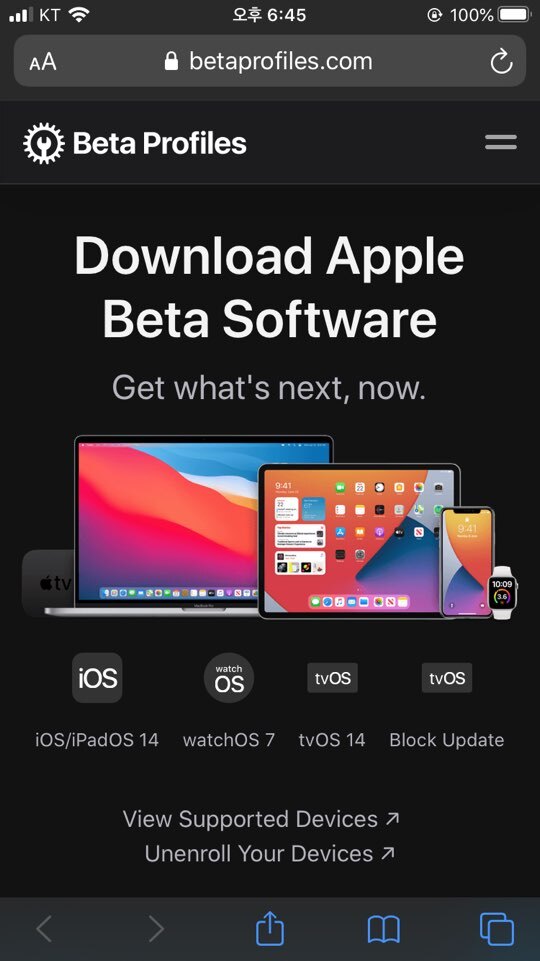 아이폰 iOS 14 개발자 베타 업데이트 방법