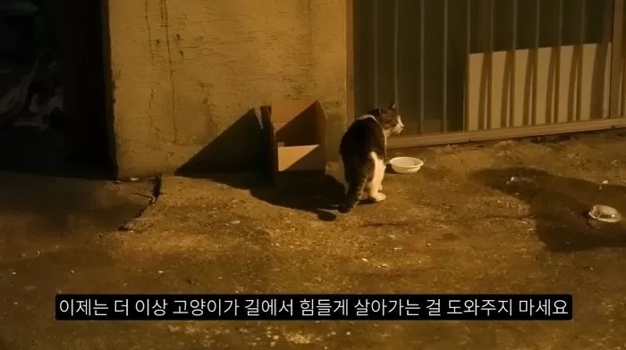 유퀴즈 새덕후 고양이 캣맘 유튜버 김어진 프로필 인스타 금수저 후원