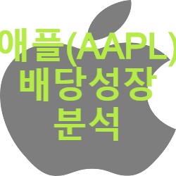 배당성장주 애플 변화 (10년/3년 흐름)