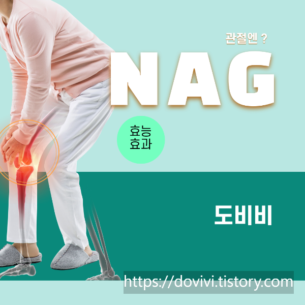 NAG N-아세틸글루코사민 효능 및