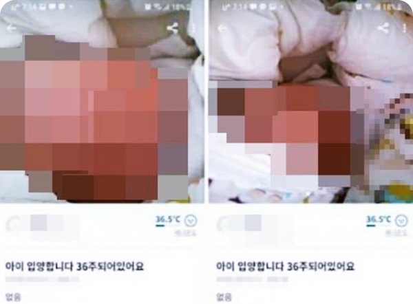 '당근마켓 아기 20만원 판매글' 입양 상담 중 화가나서 글 올려