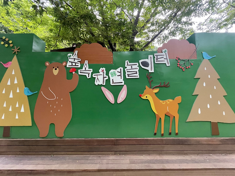 [사정공원] 대전 가볼만한곳 산책하기 좋은 대전 여행 보문산 사정공원 숲속 자연 놀이터 후기
