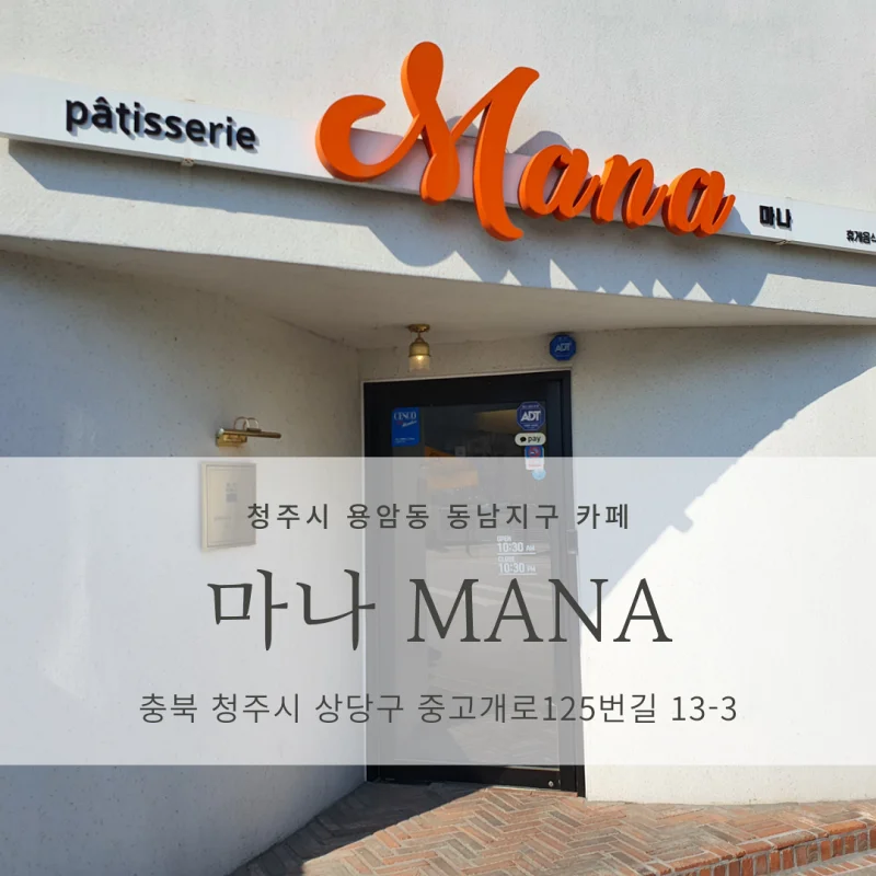 [청주시 용암동 동남지구 카페 추천] 마나 <MANA>