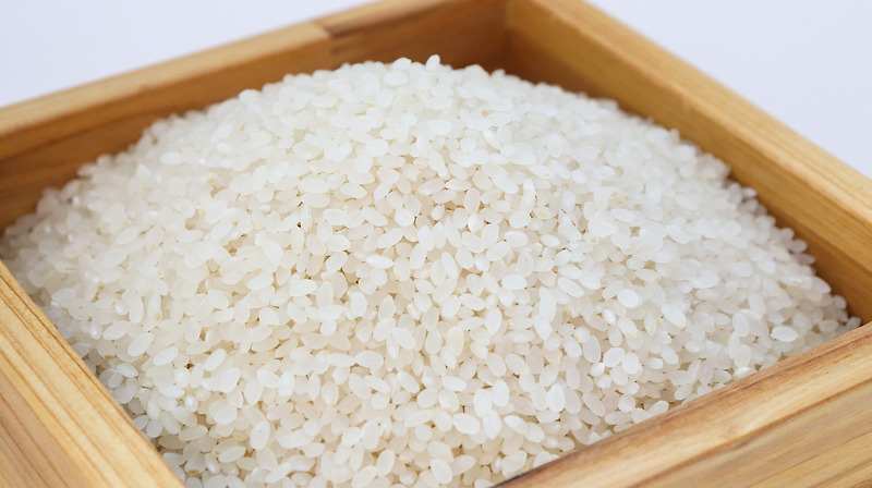 쌀에 반갑지 않은 손님, 쌀벌래가 생기면 어떻게 해야 할까요?(방지법, 해결방법, 원인)