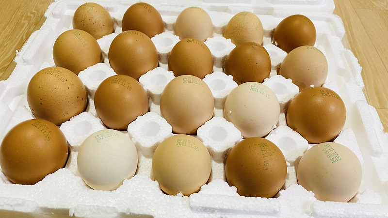 동물복지 계란 사이소 구매후기, 토종닭 방사유정란 은하수농장
