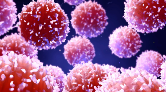 면역세포 종류와 기능,  면역력 증진 및 영양요법