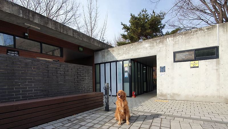 서울시, 남산공원 야외식물원 등에 ‘반려동물 목줄 거치대’ 설치