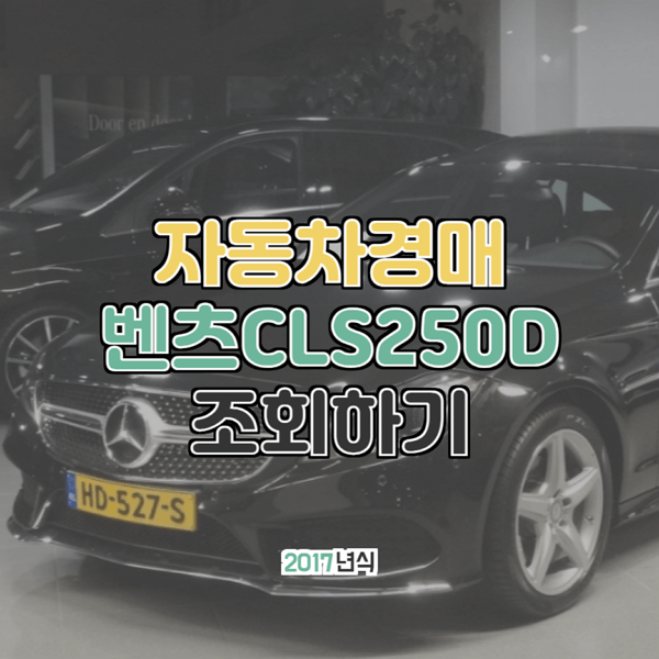 대법원 자동차경매 벤츠 CLS250D 2017년형