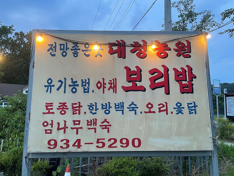 [대청농원] 대전 가볼만한곳 대청댐 대청호 맛집 대청농원(Feat.내돈내산)