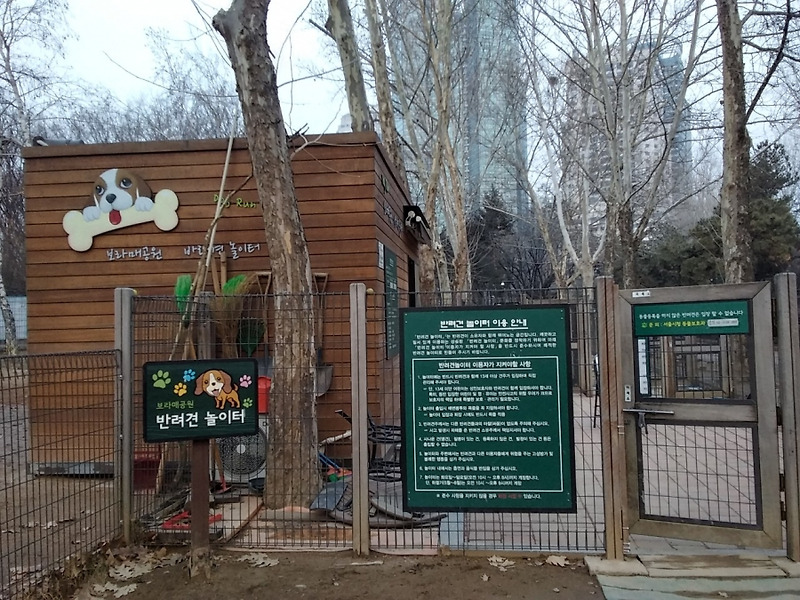 서울 보라매공원 반려견 놀이터 방문기
