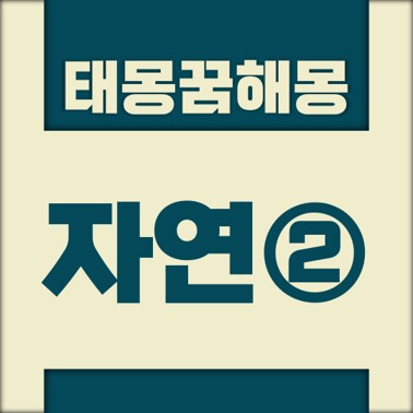 [꿈해몽풀이] 자연② 태몽 (사막, 산, 석순, 숲, 안개, 연못 등)