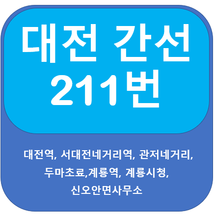 대전 211번 버스 노선정보 안내