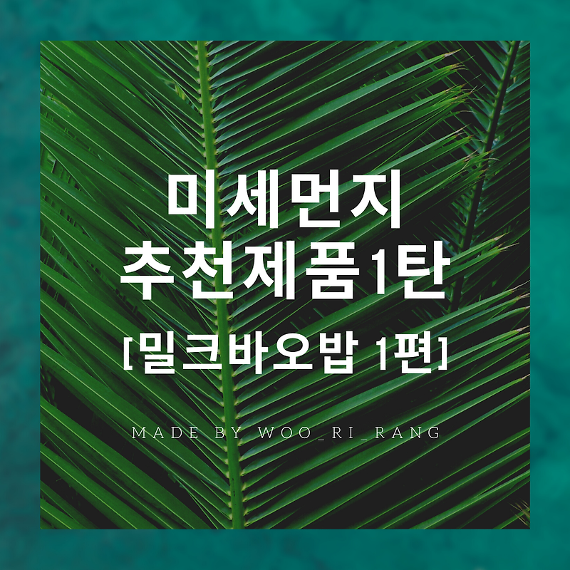 [미세먼지 1탄] 미세먼지 추천제품 / 밀크바오밥  1편 베이비
