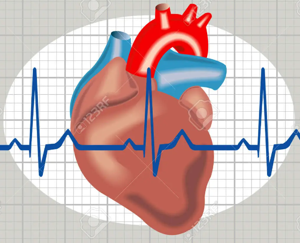 무서운 심장질환. 부정맥의 원인과 증상 예방과 치료방법은?
