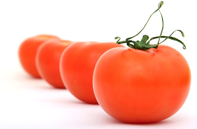 토마토 효능 및 부작용 & 토마토 먹는 방법 알아보고 제대로 효과보자!