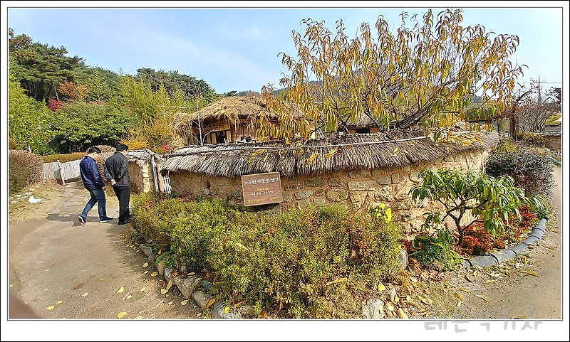 가을에 찾은 봉하마을 지붕갈이 하는 노무현 대통령 생가