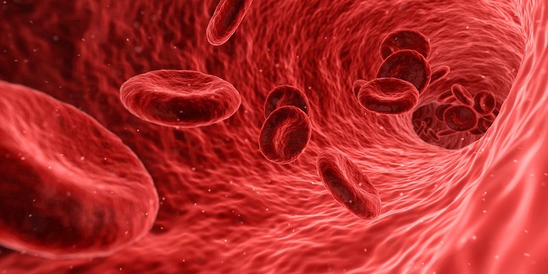 빈혈에 필요한 철분제는 무엇을 어떻게 먹어야 하는가? (1편) 빈혈의 원인과 종류