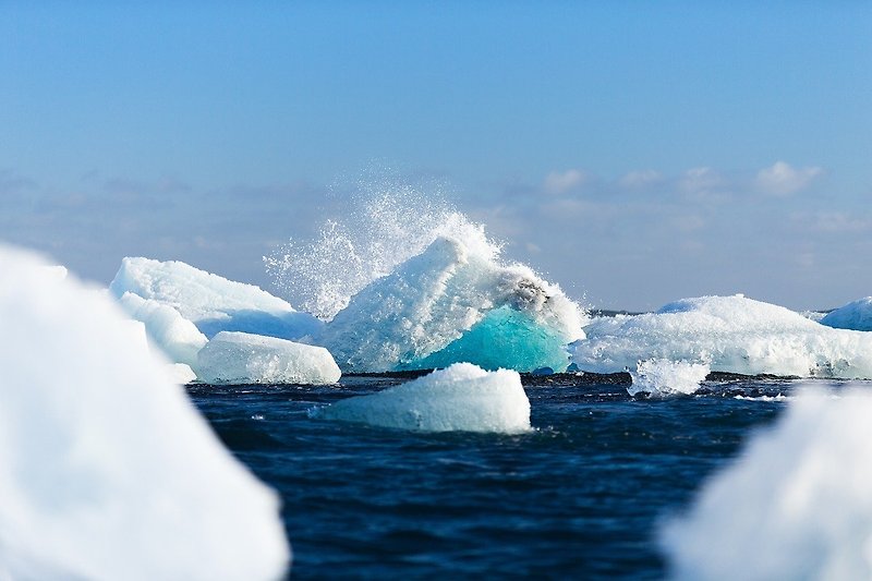남극바다 크릴오일 효능 및 부작용에 대한 고찰