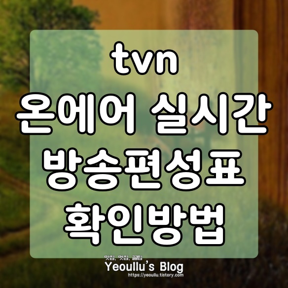 tvN(티비엔) 방송편성표, 온에어 실시간 방송보기