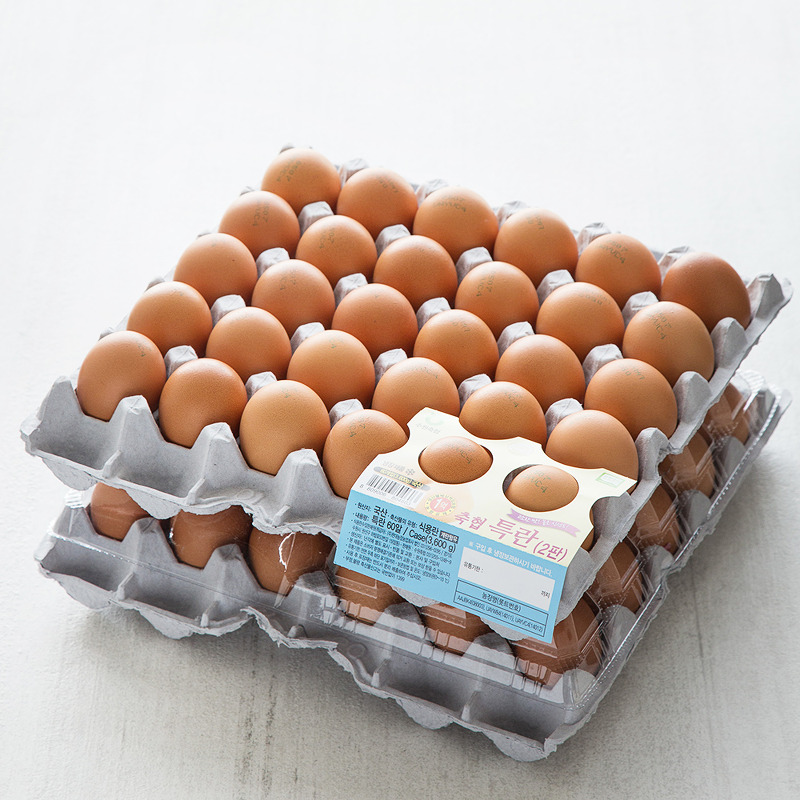 계란 추천 순위 베스트 50 - 가격 비교 계란요리
