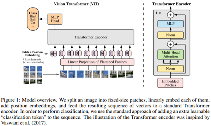 (Vision Transformer)AN IMAGE IS WORTH 16X16 WORDS:TRANSFORMERS FOR IMAGE RECOGNITION AT SCALE