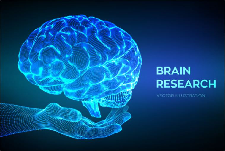 [건강정보] 뇌 질환의 종류 및 증상 관리 방법, 뇌관련 자격증에 대해 알아 봅니다.