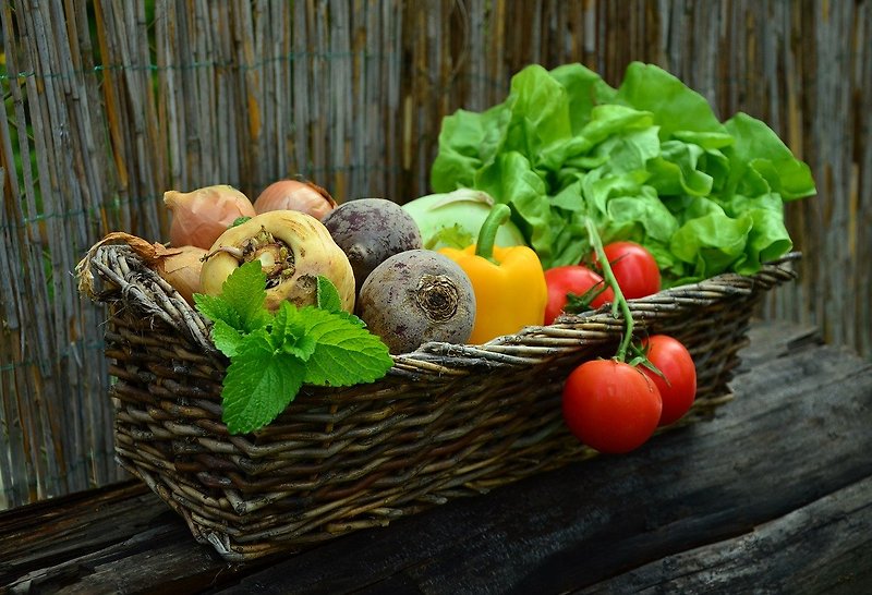 채소와 야채는 어떻게 구분하는걸까? 야채의 효능까지!
