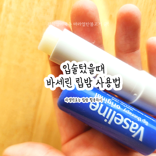 입술텄을때 바셀린 립테라피 립밤 바세린 효능 치료 방법 후기