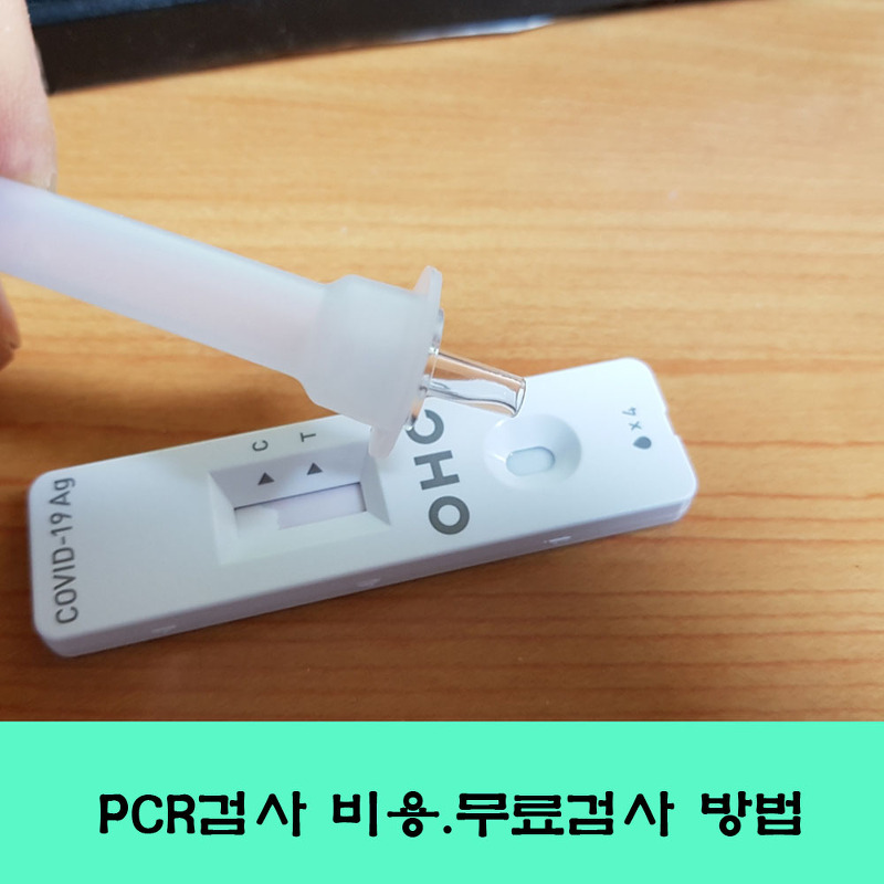 코로나19, PCR 검사, 코로나검사 가격, 무료검사 받는 방법.