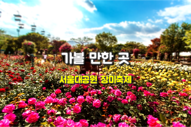 가볼만한곳 서울대공원 장미축제