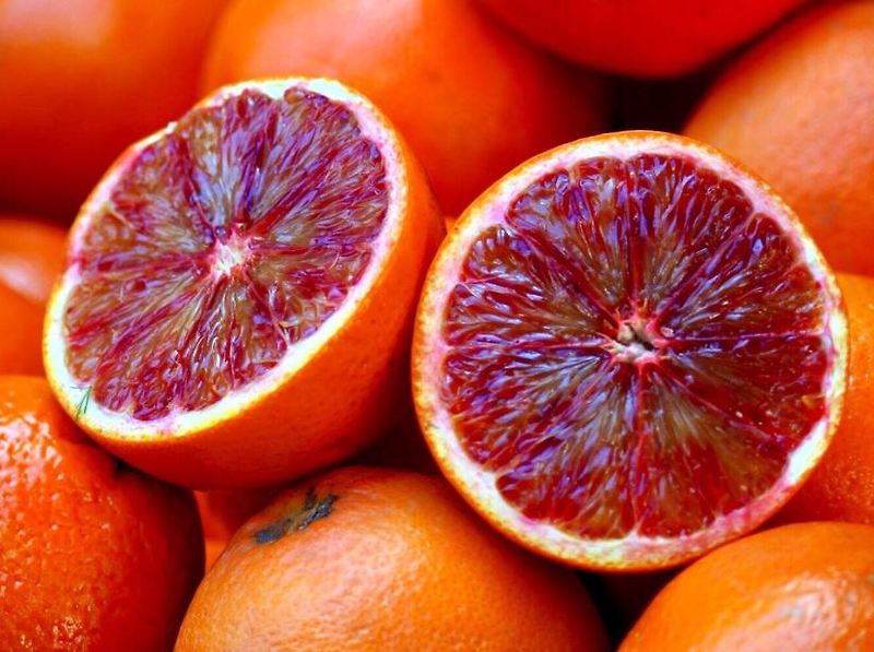 천연 항암제 안토시아닌 성분이 많은 '붉은 오렌지'