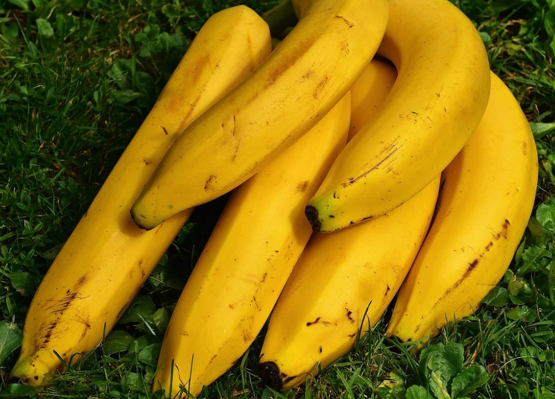 바나나껍질 분리수거 음식물 vs 일반쓰레기 어디에 버려야 과태료를 안낼까?