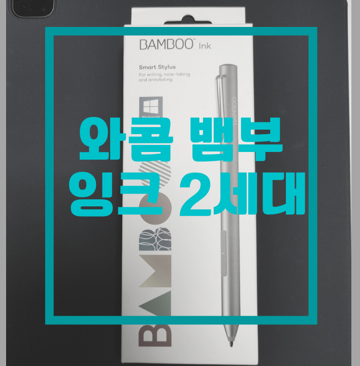 비전문가의 와콤 뱀부 잉크 2세대 리얼 사용 후기