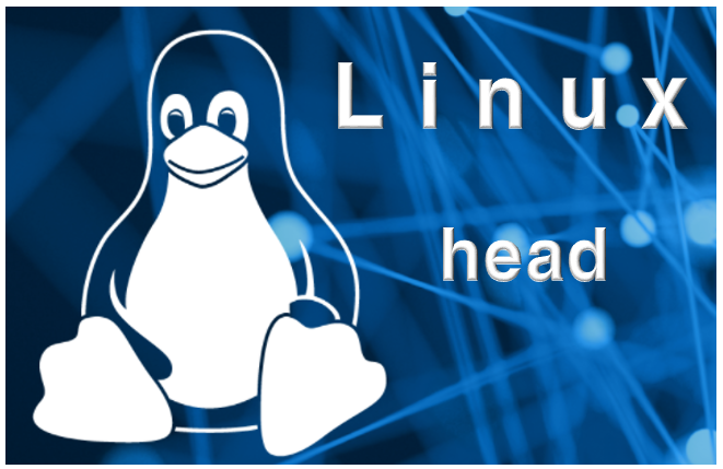 [Linux] 리눅스 서버 기본 명령어 head 명령어 옵션 사용법 총정리