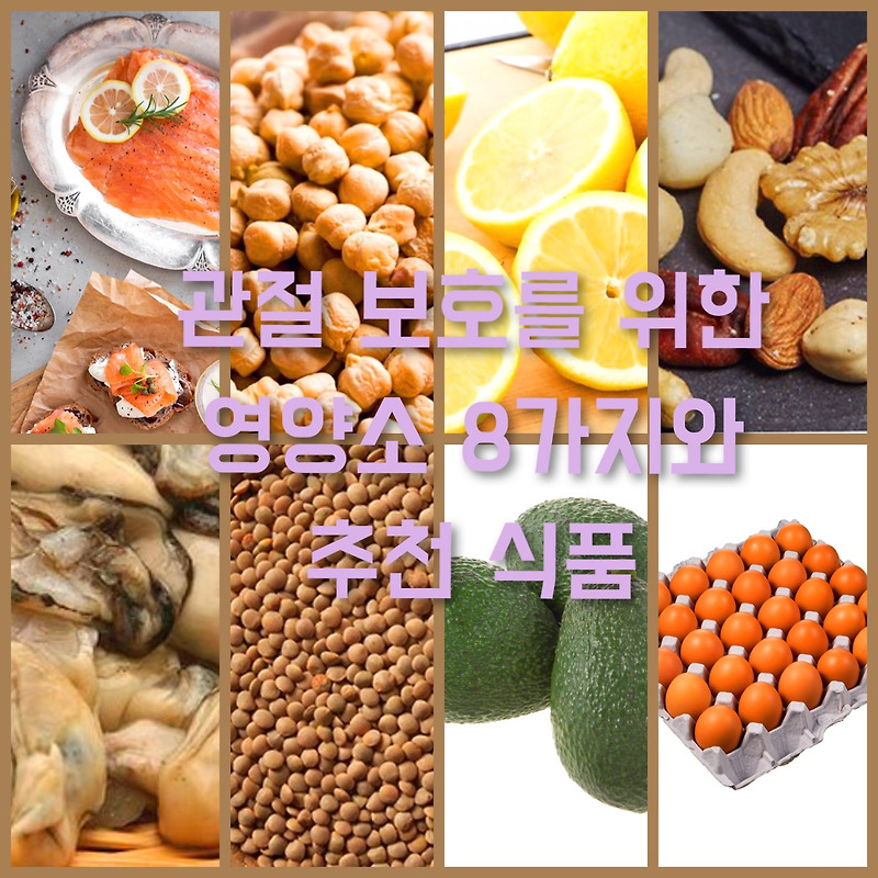 관절 보호를 위한 영양소 8가지와 추천 식품