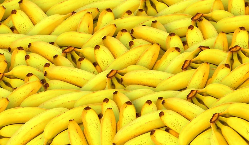 바나나 효능과 바나나 유래와 기원 및 역사 정보