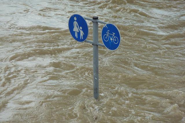 폭우 로 침수된 차량 보험 처리 가능하다 보험사 별 자기차량 손해담보 비교 분석