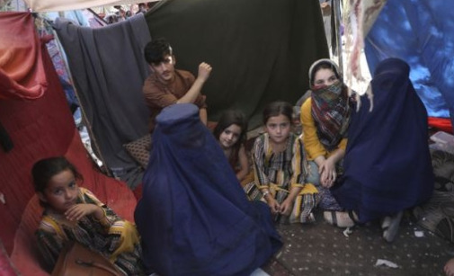 탈레반의 인권 유린 실태에 충격