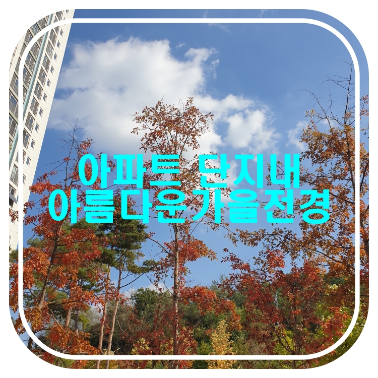 아파트단지내예쁜 가을 풍경과 커피한잔(ft. 찹쌀핫도그, 팥도너츠)
