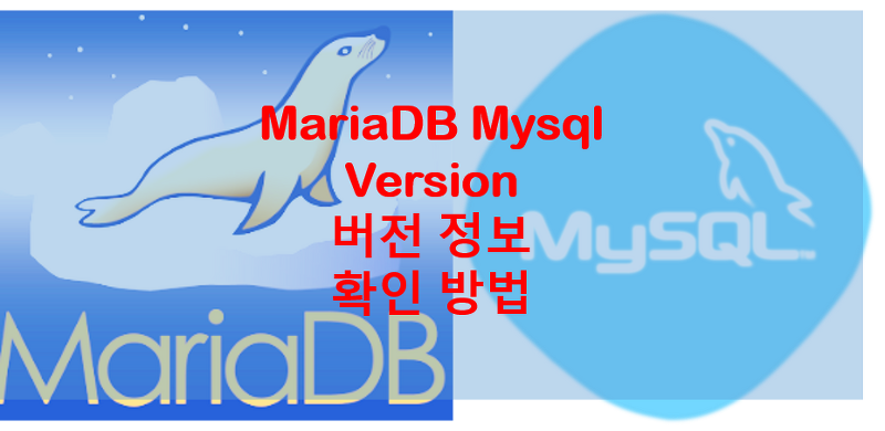 Ubuntu mysql mariadb 설치 버전 확인 방법