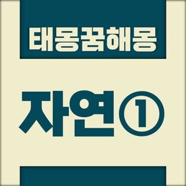 [꿈해몽풀이] 자연① 태몽 (강, 강가, 강물, 강변 등)