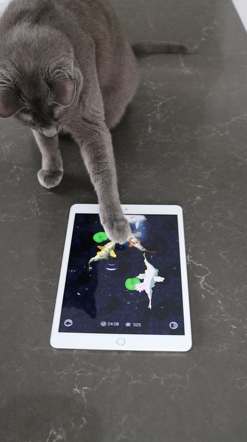 퓨리나가 개발한 고양이를 위한 무료 게임 'Cat Fishing 2'