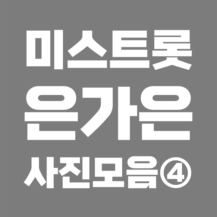 [사진모음 4/7] 미스트롯2 은가은 Eungaeun 성형 과거사진 (본명 : 김지은 / 1987년생 / 동주대학)