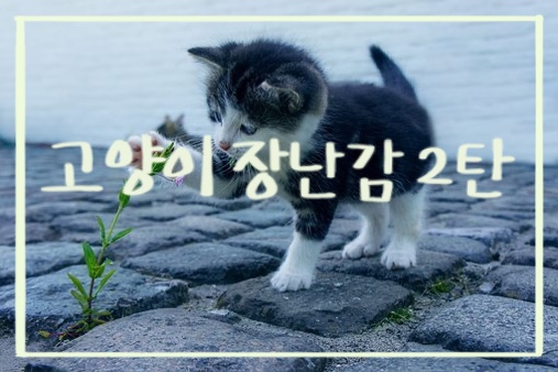 고양이 장난감 2탄(깃털 낚싯대, 패닉 마우스, 캣댄서)
