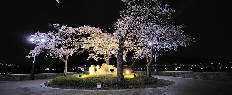 야간 벚꽃 사진