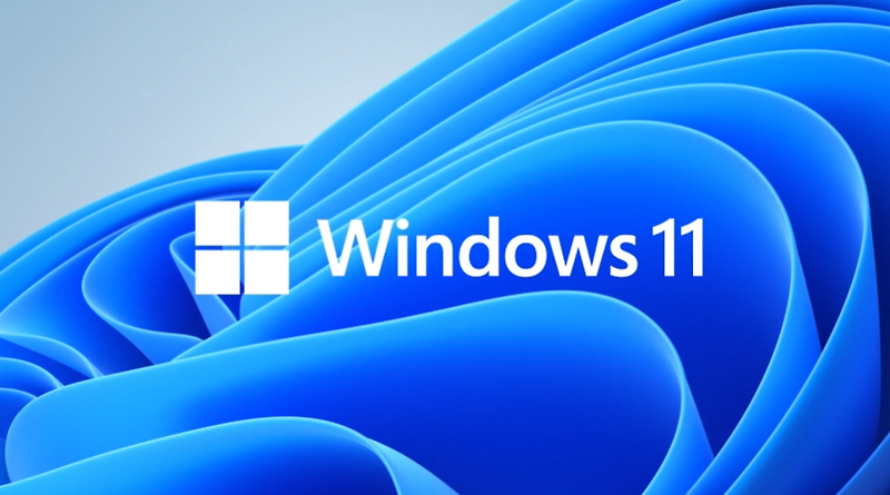 윈도우11 자가 진단 (과연 내컴은 윈11 설치가 가능할것인가 ㄷㄷ)