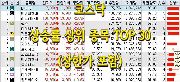 코스피/코스닥 상승률 상위(상한가 포함) 종목 TOP 30 (0610)