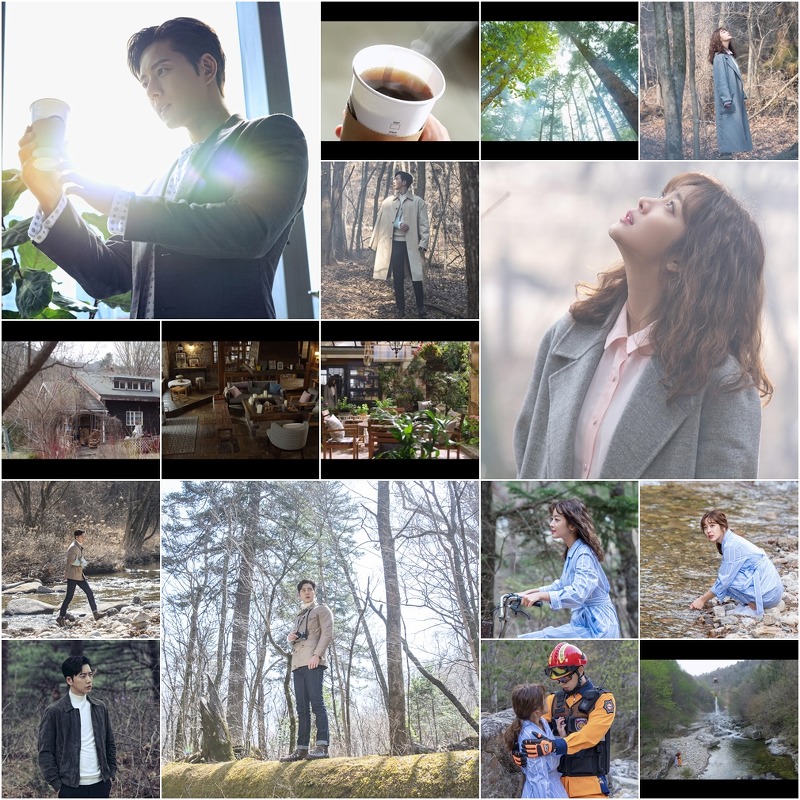 KBS 2TV 수목드라마‘포레스트’ 박해진-조보아, “수목(水木) 밤,‘숲 속 수목(水木) 타임’으로 픽(PICK)”